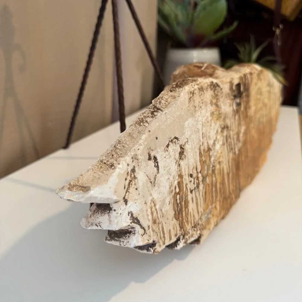 Vintage Cherub Angel Wings Wall Decor Plaque Distressed Architectural Sculpture